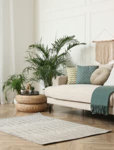 Salon lumineux avec canapé beige, coussins colorés, et grand palmier vert luxuriant. Poufs tressés, tapis géométrique clair sur parquet. Ambiance bohème cosy.