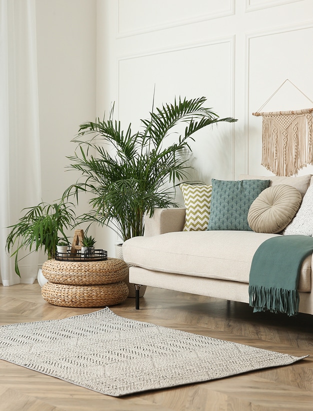 Salon lumineux avec canapé beige, coussins colorés, et grand palmier vert luxuriant. Poufs tressés, tapis géométrique clair sur parquet. Ambiance bohème cosy.