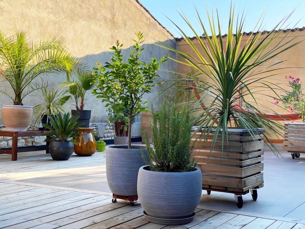 Terrasse ensoleillée avec palmiers, agrumes et romarin en pots, hamac rayé et deck en bois. Espace détente.
